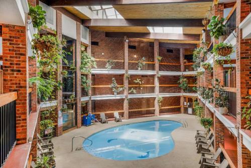 Úszómedence, Baymont by Wyndham Cortez in Cortez (Colorado)