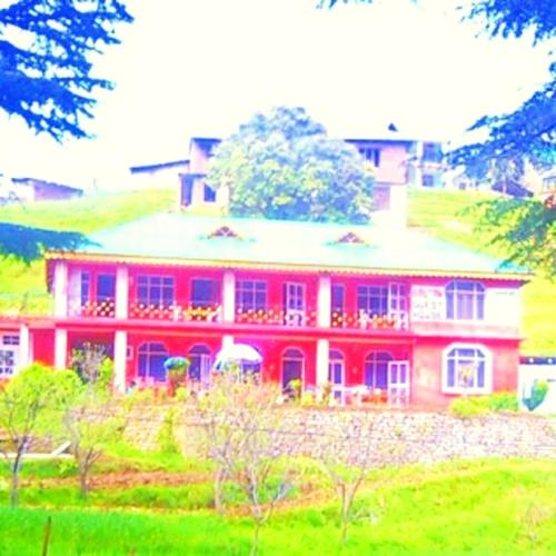 The Velvet Pine in Khajjair