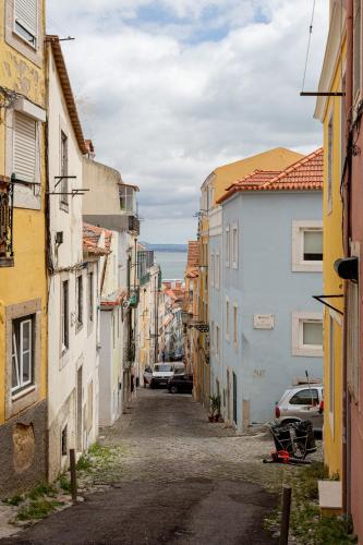 Quiet Bloom - Studio in Estrela - image 8