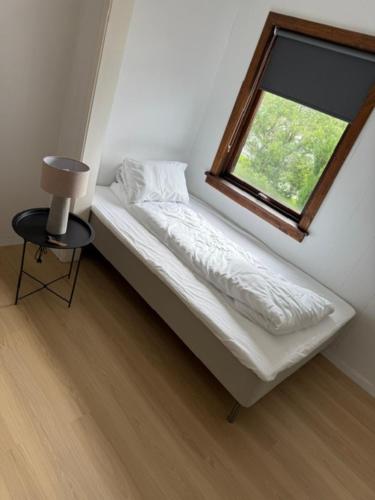 Sunde Fjord view, easy and cheap! in Alesund