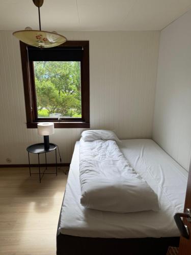 Sunde Fjord view, easy and cheap! in Alesund