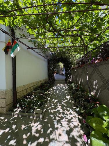 Sarievi Holiday Home 5