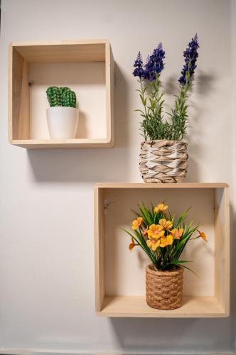 Appartamento via Mentana in פוליגנו