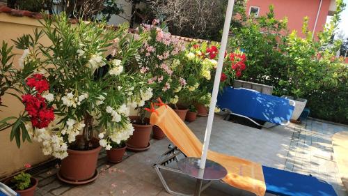 Sunny Flower Family Hotel – Sunny Beach, WY