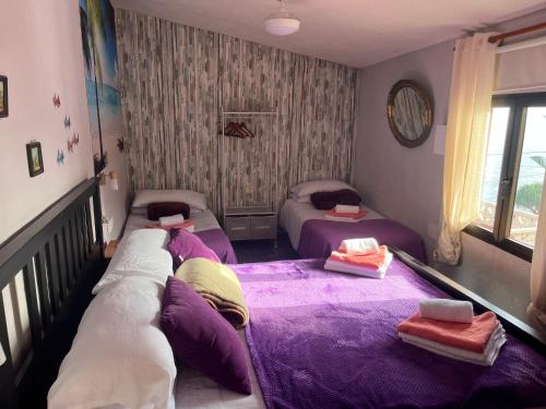 Estudios kylie y Evelyn