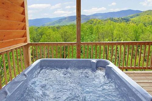 Bear Den Holiday home - main image