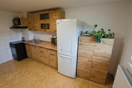 Cocina, Rodinné ubytování Vilvin Kašperské Hory (Rodinne ubytovani Vilvin Kasperske Hory) in Kasperske Hory