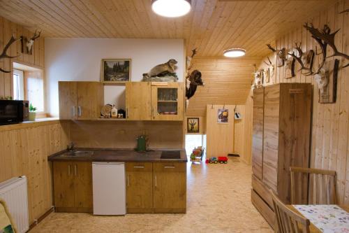 Cocina, Rodinné ubytování Vilvin Kašperské Hory (Rodinne ubytovani Vilvin Kasperske Hory) in Kasperske Hory