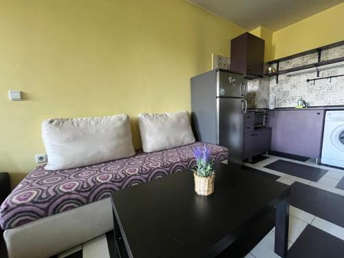 Einstein apartment, Sofie