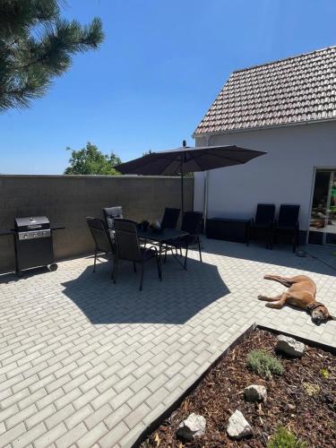 陽台/露台, Prázdninový dům Vinohrad 97 (Prazdninovy dum Vinohrad 97) in 帕夫洛夫