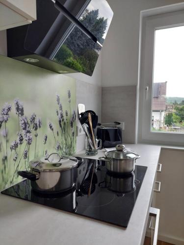 Kitchen, Apartment Senfnest in Ober-Ramstadt