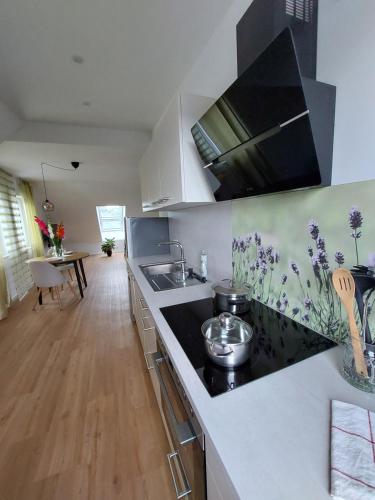 Kitchen, Apartment Senfnest in Ober-Ramstadt