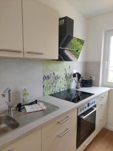 Kitchen, Apartment Senfnest in Ober-Ramstadt