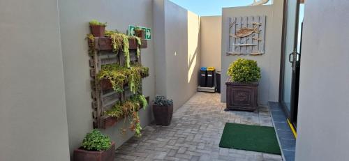 Tweede Wind, Yzerfontein (fotografie 4)