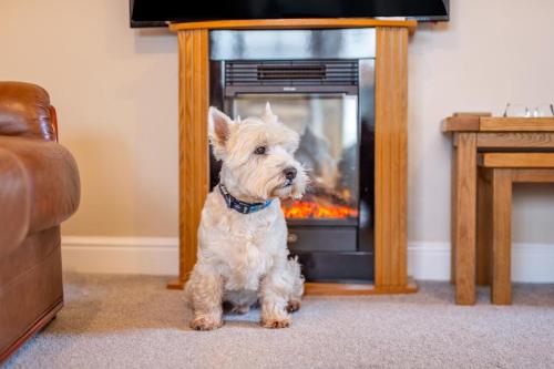 Létesítmények, Rose Bank Cottage in Melsonby