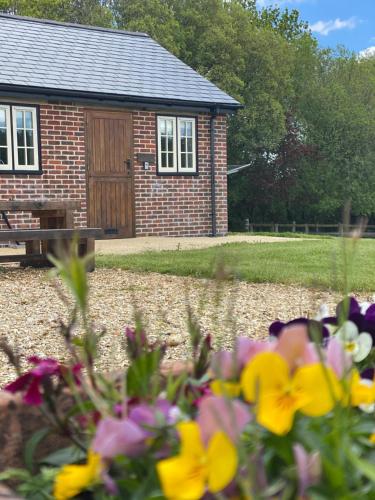 Mill Lane Farm Holiday Cottages in Minstead