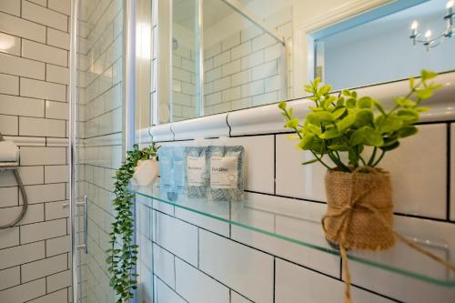 Cosy Harbour Retreat - Howth, Dublin (fotografie 6)
