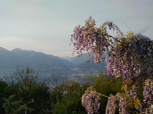 Sun, fun & relaxation, the Ticino for you! in Gambarogno, Schweiz