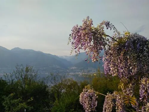 Sun, fun & relaxation, the Ticino for you! in Gambarogno, Schweiz