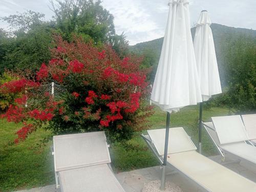 Villa Rosetta relax in 聖皮耶特羅阿爾納蒂索內