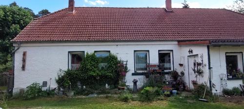 Der Konikhof, Natur, Ruhe, R-Auszeit in Rochau