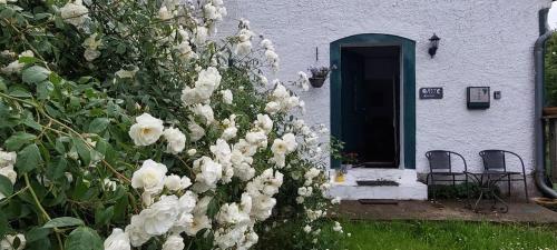 Der Konikhof, Natur, Ruhe, R-Auszeit in Rochau