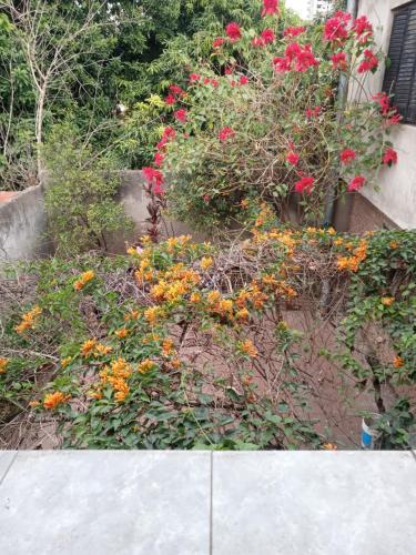 JereSam 2 - Planta Alta in Don Bosco