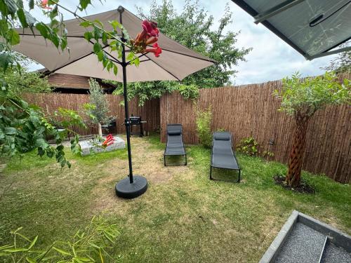 Kert, Tiny House am See Dillich - Hunde willkommen - Eigener eingezäunter Garten - Ruhige Lage - Klima (Tiny House am See Dillich - Hunde willkommen - Eigener eingezaunter Garten - Ruhige Lage - Klima) in Borken-Hessen