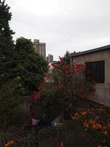 JereSam 2 - Planta Alta in Don Bosco