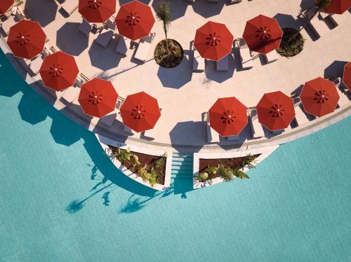 Paloma Grida Resort & Spa - image 5