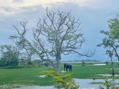 Surrounding environment, The White Pillow Hotel Arugam Bay in Arugam Bay