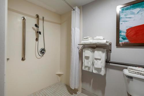 Comfort Inn & Suites - image 6