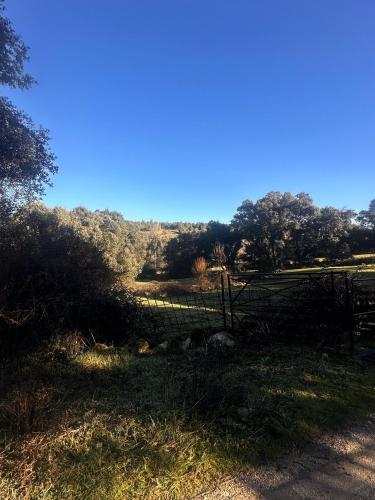 Apkārtne, Casa rural Los Acebos in Turégano