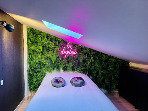 Duplex Cosy - Escapade Romantique in 斯蒂澤姆奧方內姆