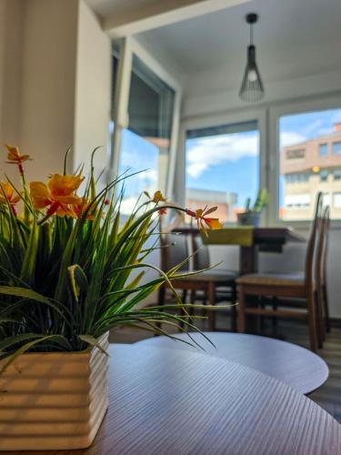 Urban Nest - Apartment - Jajce