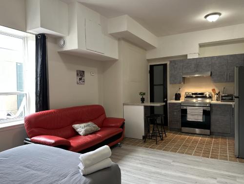 Furnished Simcoe Lofts in 中奧沙瓦