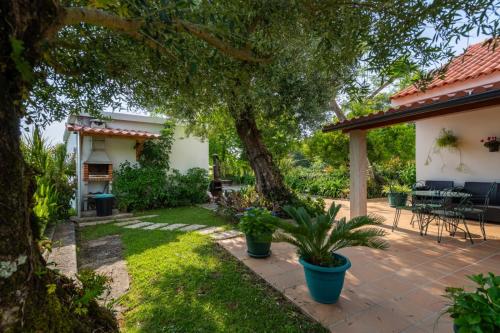 Casa Corredoura, Ponte de Lima (fotografie 9)
