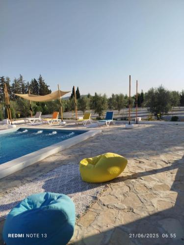Piscine, Villa Alfàs (Villa Alfas) in Tunis