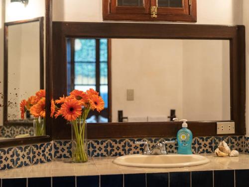Apartamentos Antigua, Antigua Guatemala (foto 4)