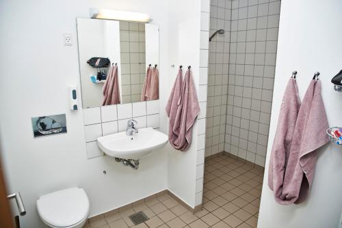 Danhostel Kolding - image 9