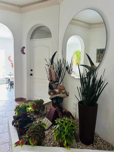 The Quetzal – Cancun, TX