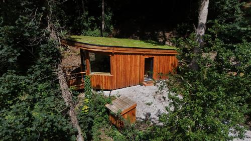 The Toads Hideout - A Cabin in an Ancient Welsh Woodland gîte à louer Nannerch