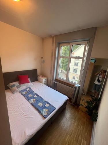 Rustic lakeside gem with rooftop looking to Zurich see, Zurich (photo 9)