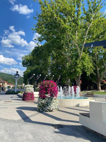 المنطقة المحيطة, Baja's Garden Apartman in Bajina Basta