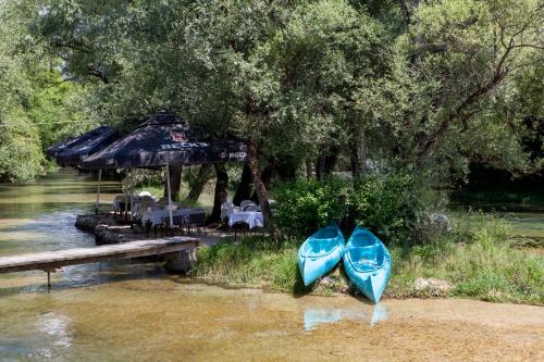 Motel Kolo - image 13