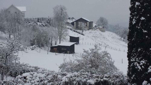 Apartment in Mölbling/Kärnten 69 - image 11