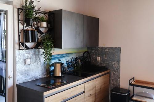 Villa Dalmatia with pool in Slivnica