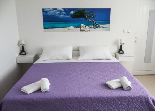 Villa Dalmatia with pool in Slivnica