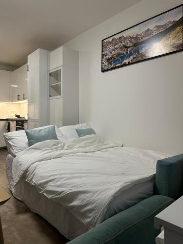 Cozy Modern Apartment, 20 mins to Center, Praga (foto 11)