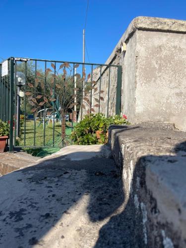 L'albero Della Vita – Piano di Sorrento, CO